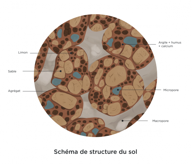 Schéma de structure du sol