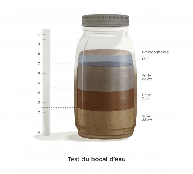 Test du bocal d'eau pour estimer la structure d'un sol
