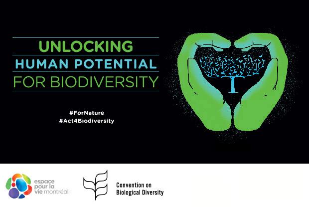Unlocking Human Potential for Biodiversity