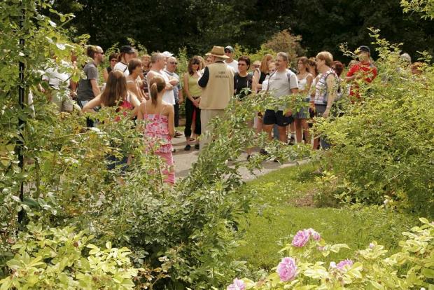 Guided tour for groups