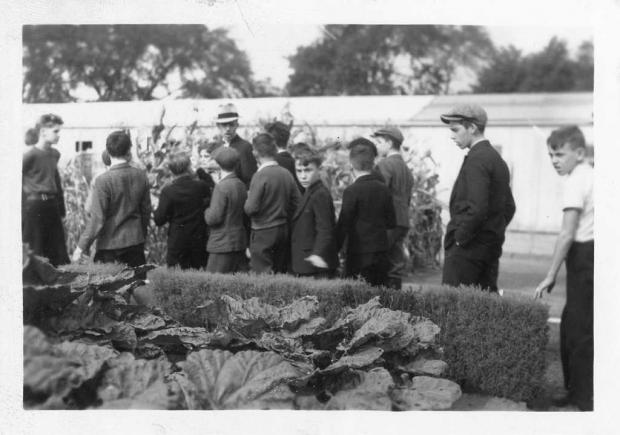 Economic Plants Garden, 1937