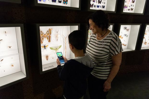 Dans le Dôme de l'Insectarium