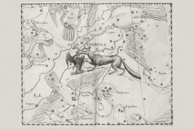 Vulpecula, Anser, Sagitta par Hevelius (1690).jpg