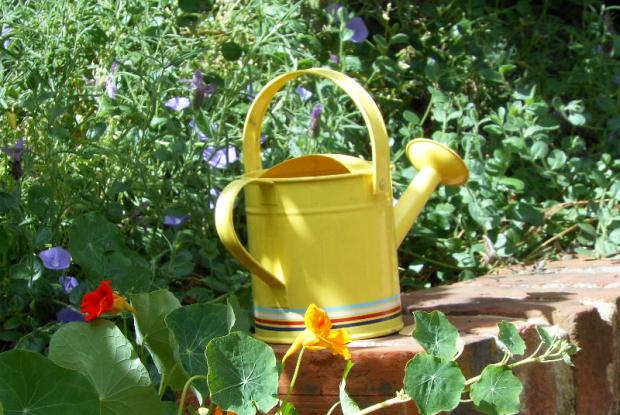 Watering can