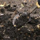 Compost added to a vegetable patch