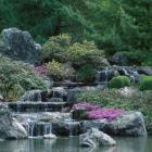 Cascade of water in the Japanese Garden