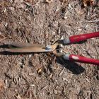 Hand shears