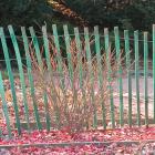Protection hivernale