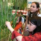 Educational activity at the Botanical Garden