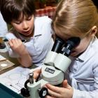 Plan a school trip