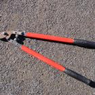 A long-handled pruner or lopper