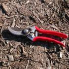 A hand secateur or pruner